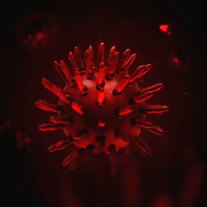 3D Animations